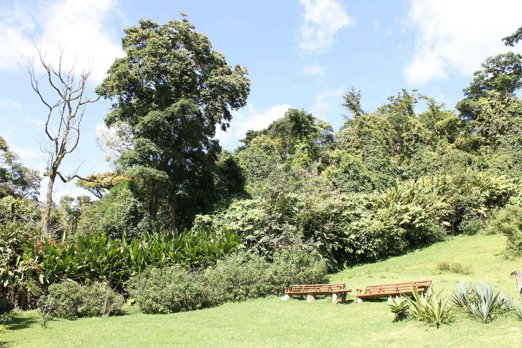 Hotel Bosque Verde Lodge الجبل الأخضر المظهر الخارجي الصورة